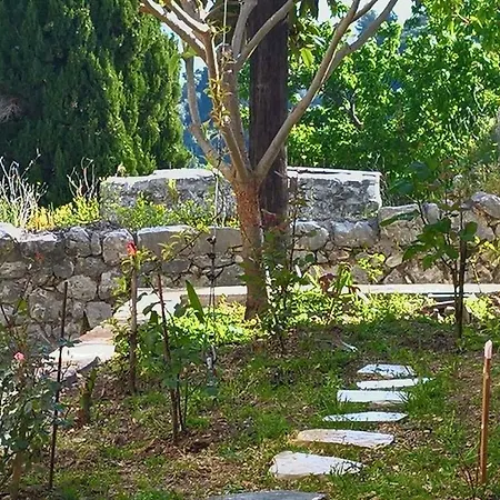 Traditional House * Κατούνα