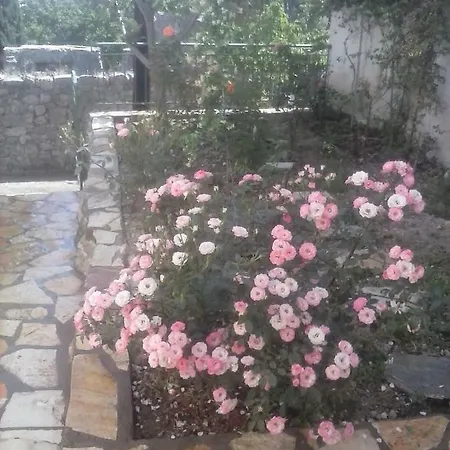 Traditional House Σπίτι διακοπών Κατούνα