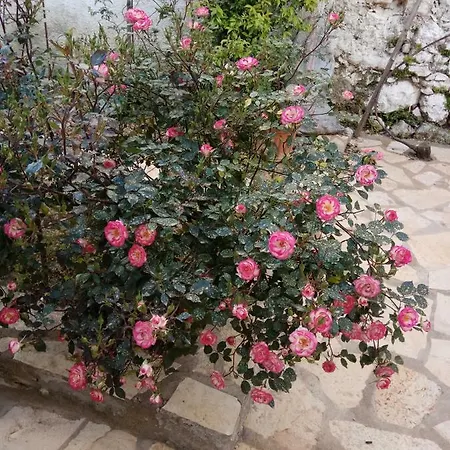 Traditional House * Κατούνα