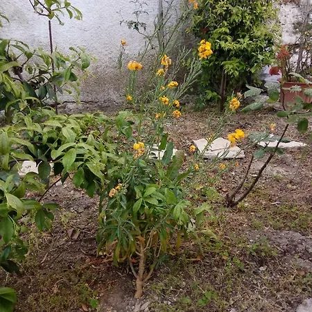 Σπίτι διακοπών Traditional House *